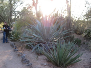 beth's Dale Chihuly pictures -