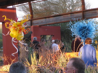 beth's Dale Chihuly pictures -