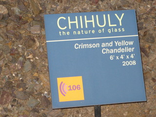 beth's Dale Chihuly pictures -