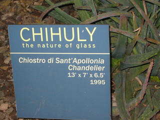 beth's Dale Chihuly pictures -