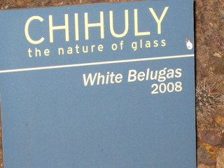 beth's Dale Chihuly pictures -