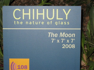 beth's Dale Chihuly pictures -