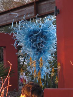 beth's Dale Chihuly pictures -