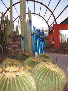 beth's Dale Chihuly pictures -