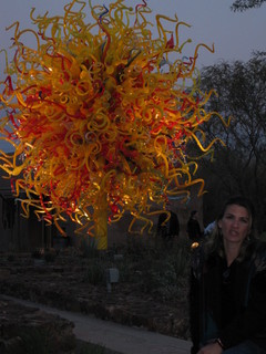 beth's Dale Chihuly pictures -