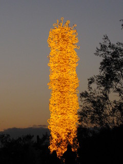 beth's Dale Chihuly pictures -