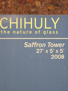 beth's Dale Chihuly pictures -