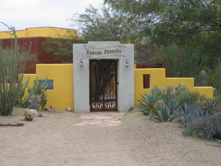 Cave Creek mine hike - pink flowers