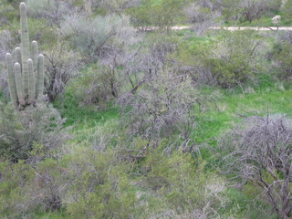 beth's pictures - Cave Creek mine hike