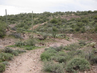 beth's pictures - Cave Creek mine hike