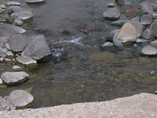 beth's pictures - Cave Creek mine hike - 'raging' river