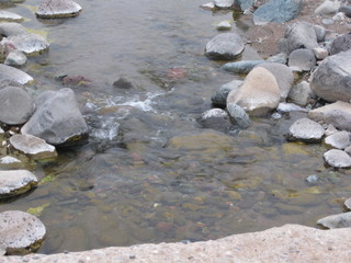 beth's pictures - Cave Creek mine hike - 'raging' river