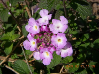 Gaby and Cecelia in shopping-cart car