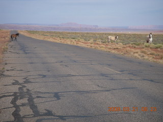 Monument Valley (UT25) run