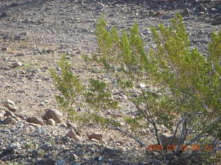 Safford Airport (SAD) - entrance sign