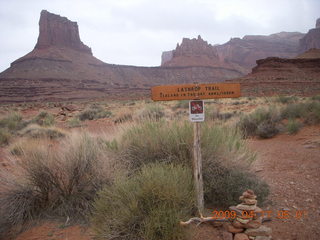 73 6uh. Canyonlands - Lathrop trail hike - White Rim road - sign
