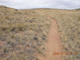 Canyonlands - Lathrop trail hike - grassy run at end