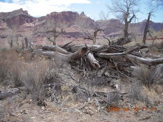 83 6uj. Mexican Mountain (WPT692)