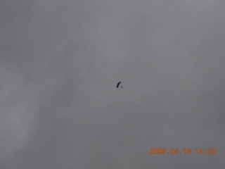 skydiver at Canyonlands (CNY)