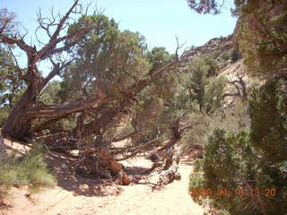 Arches National Park - Fiery Furnace hike