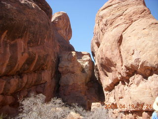 Arches National Park - Elephants?