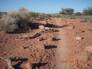 167 6uk. Canyonlands National Park - Murphy Trail run