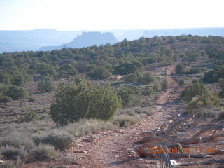 driving to canyonlands