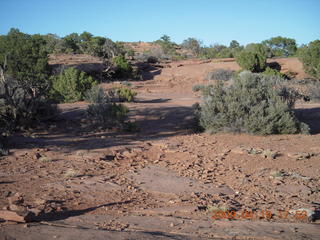 171 6uk. Canyonlands National Park - Murphy Trail run