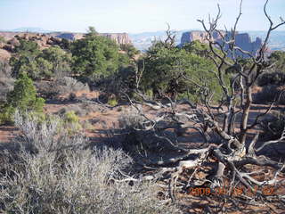 172 6uk. Canyonlands National Park - Murphy Trail run