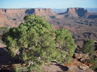 Canyonlands National Park - Murphy Trail run - Adam running