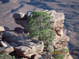 187 6uk. Canyonlands National Park - Murphy Trail run