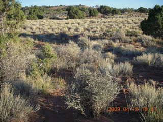 205 6uk. Canyonlands National Park - Murphy Trail run