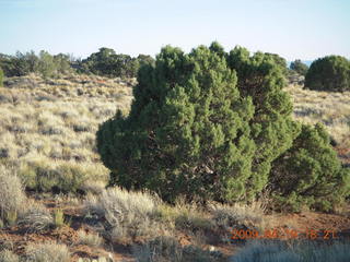 206 6uk. Canyonlands National Park - Murphy Trail run