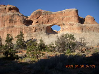 Arches National Park - Devil's Garden hike - bunny rabbit