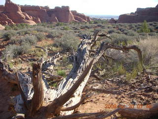 27 6ul. Arches National Park - Devil's Garden hike