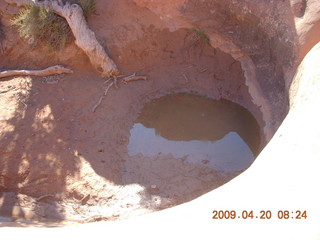 Arches National Park - Devil's Garden hike - pothole