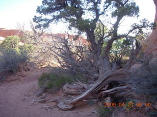 51 6ul. Arches National Park - Devil's Garden hike