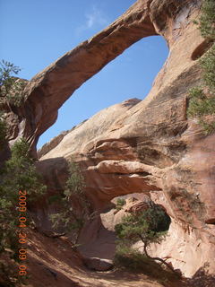 Arches National Park - Devil's Garden hike - white flowers