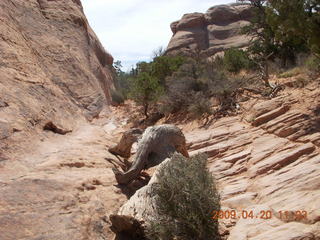 108 6ul. Arches National Park - Devil's Garden hike