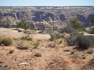 49 6um. Brown's Rim - Cateract Canyon