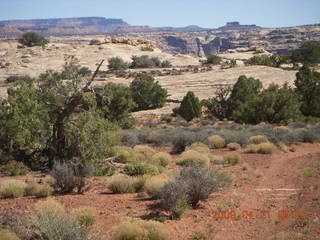 Brown's Rim - Cateract Canyon