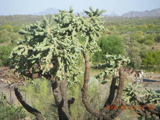 Superior Airport (E81) run - cool plant
