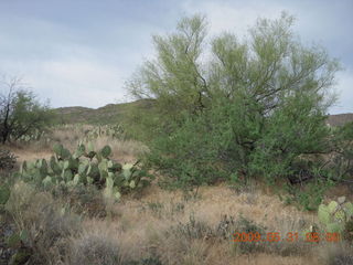 Superior Airport (E81) run