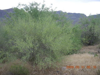 Superior Airport (E81) run