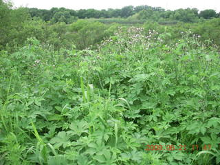 Pennypack Park by the Delaware River