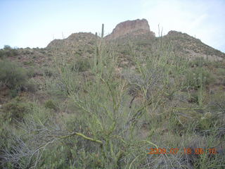 Elephant Mountain hike