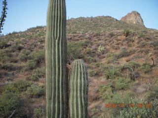 Elephant Mountain hike