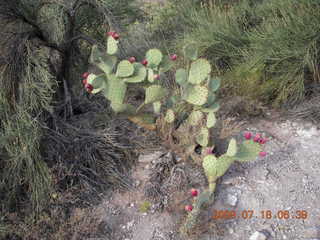 Elephant Mountain hike