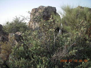 Elephant Mountain hike
