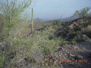 Elephant Mountain hike
